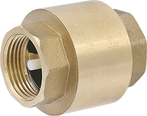 Spring-loaded axial check valve with plastic mechanism
