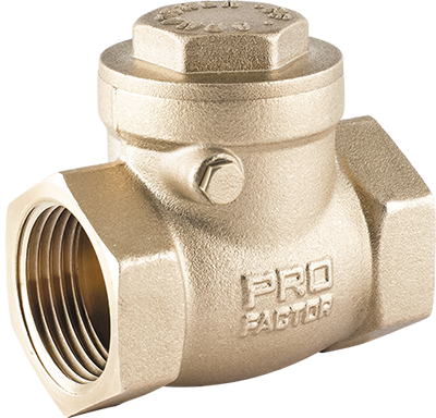 Horizontal disc check valve
