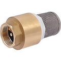 Terminal fjäderbelastad axial backventil med filter