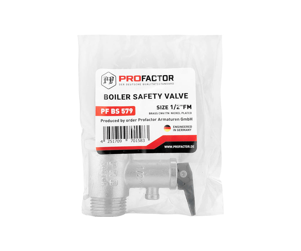 Safety valve for water heater with relief handle — PF_BS_579_5