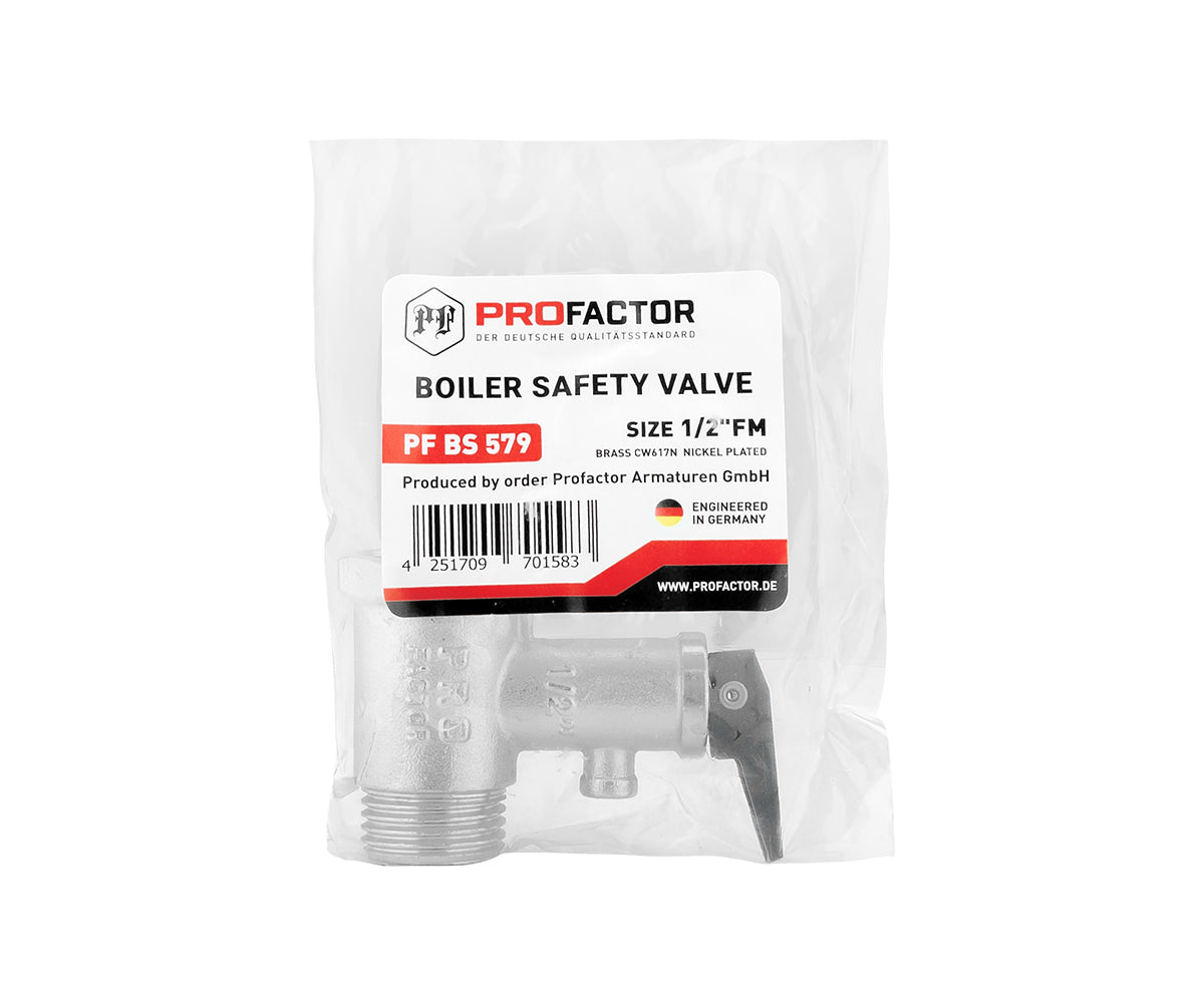 Safety valve for water heater with relief handle — PF_BS_579_5