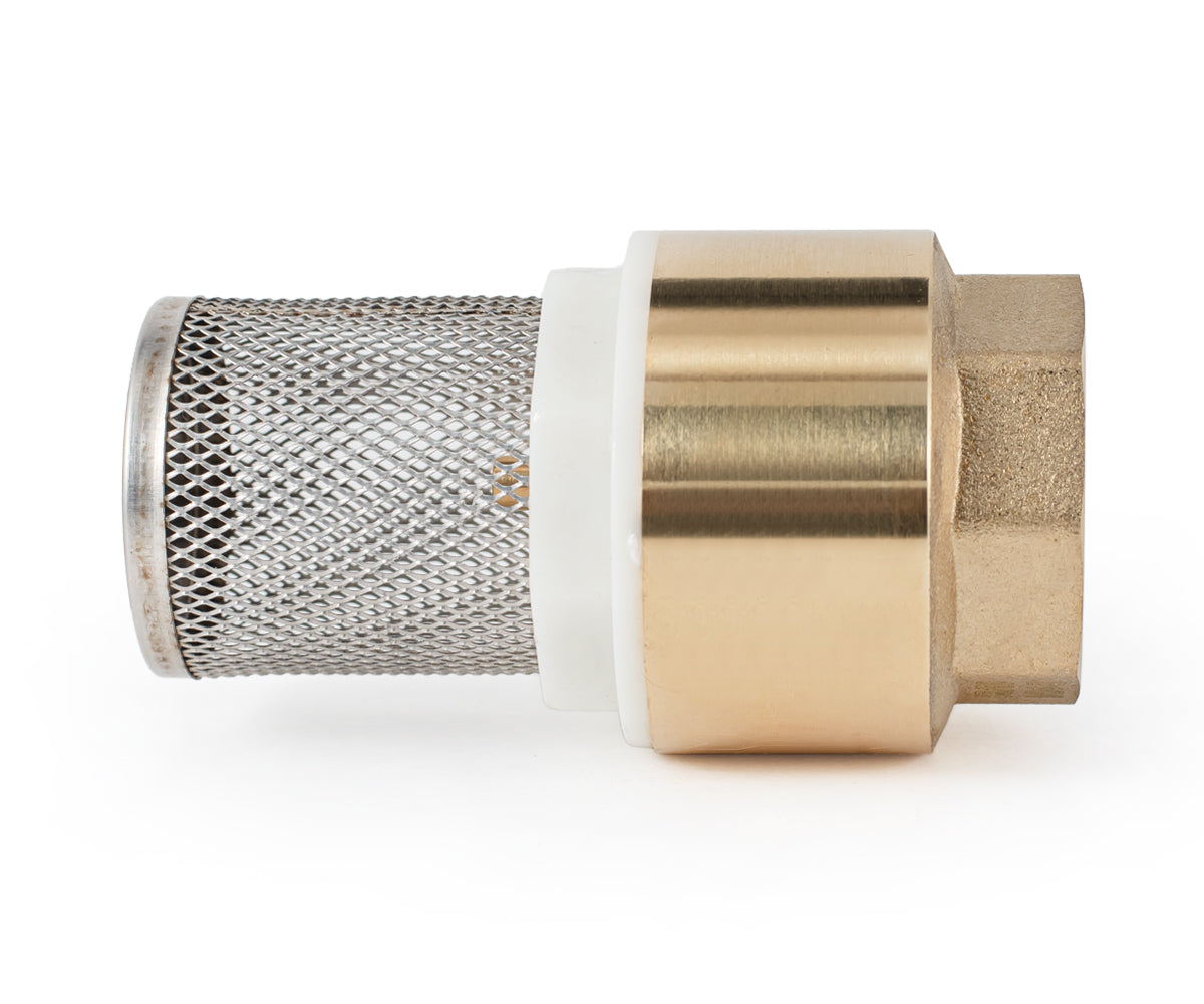 Terminal spring-loaded axial check valve with filter — PF CVS 248, ракурс 6