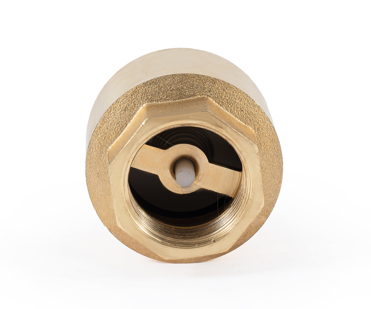 Spring-loaded axial check valve with plastic mechanism — PF CV 240P, ракурс 3
