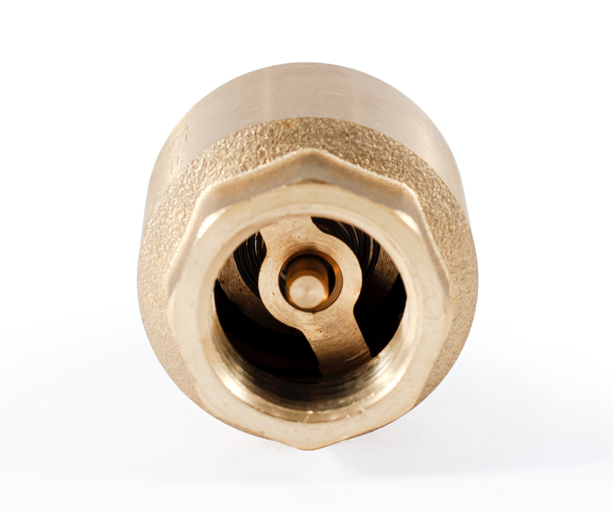 Spring-loaded axial check valve with brass mechanism — PF CV 240, ракурс 4