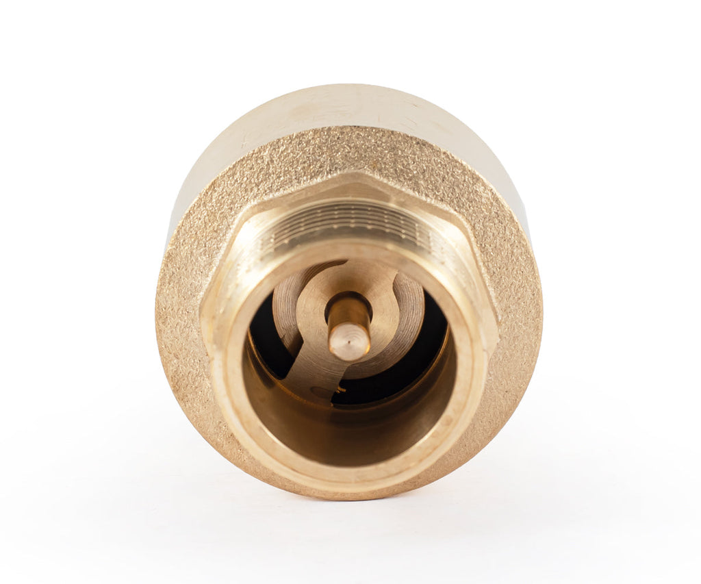 Spring-loaded axial check valve, F/M, for pumps — PF CV 242FM, ракурс 4