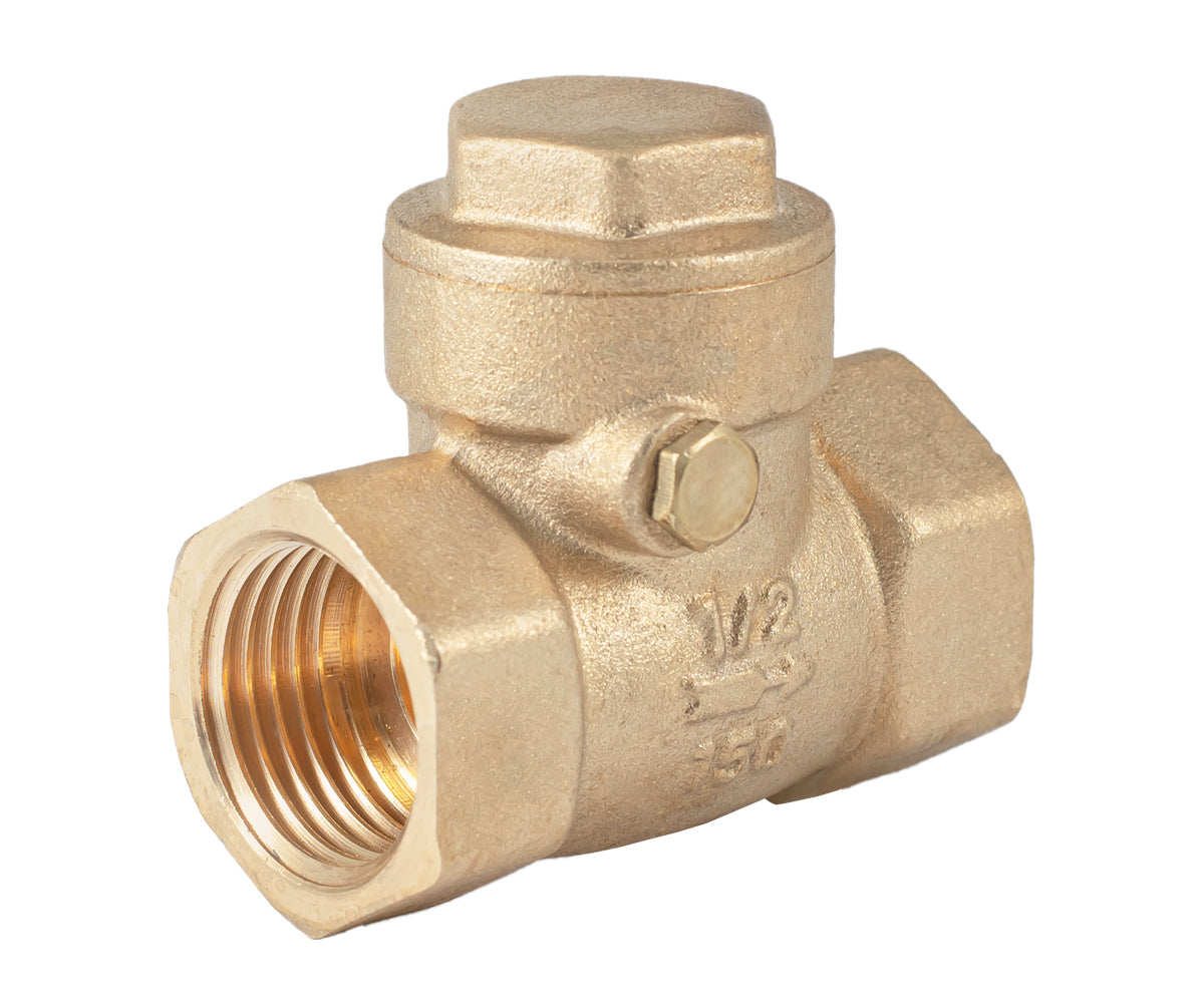 Horizontal disc check valve — PF CV 249, ракурс 1