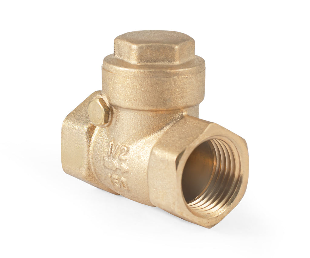 Horizontal disc check valve — PF CV 249, ракурс 3
