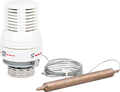 Thermostatic head with immersion sensor